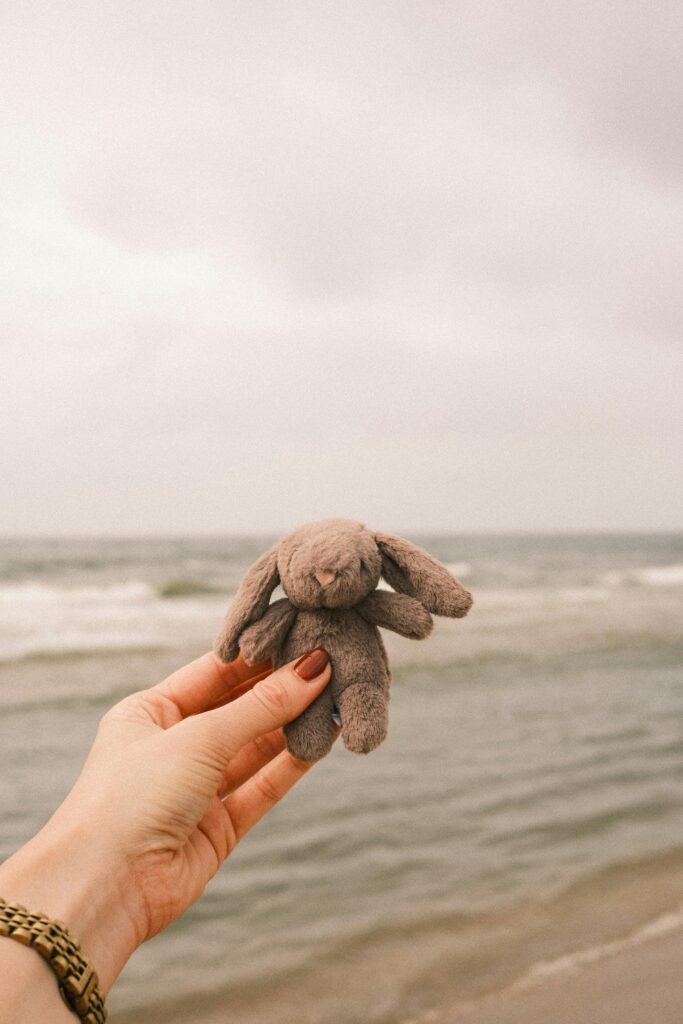 Hand holding a plush bunny toy by the ocean on a cloudy day, creating a serene coastal vibe.